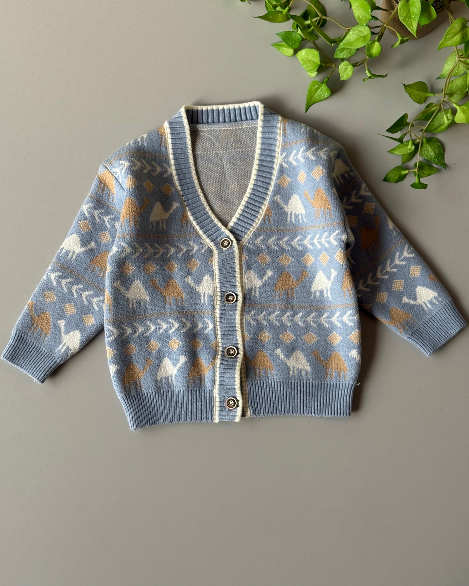 camel pattern boy set