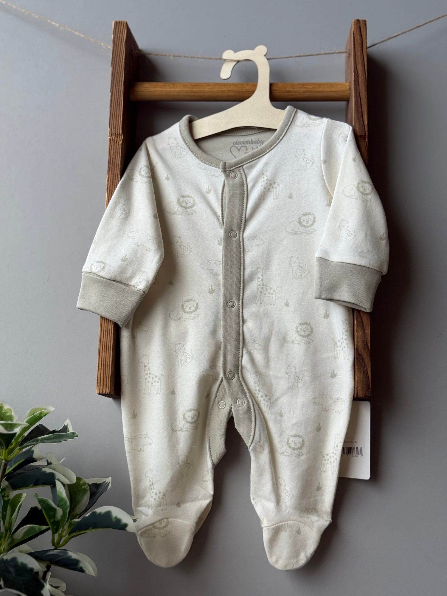 Safari mint overall