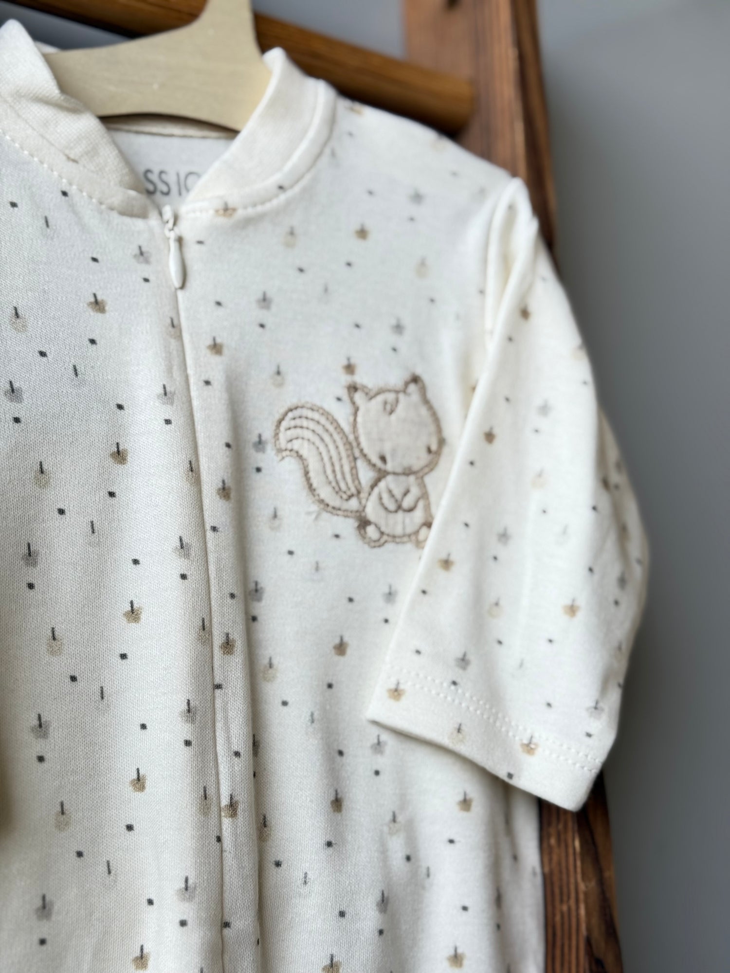 Autumn Squirrel overall