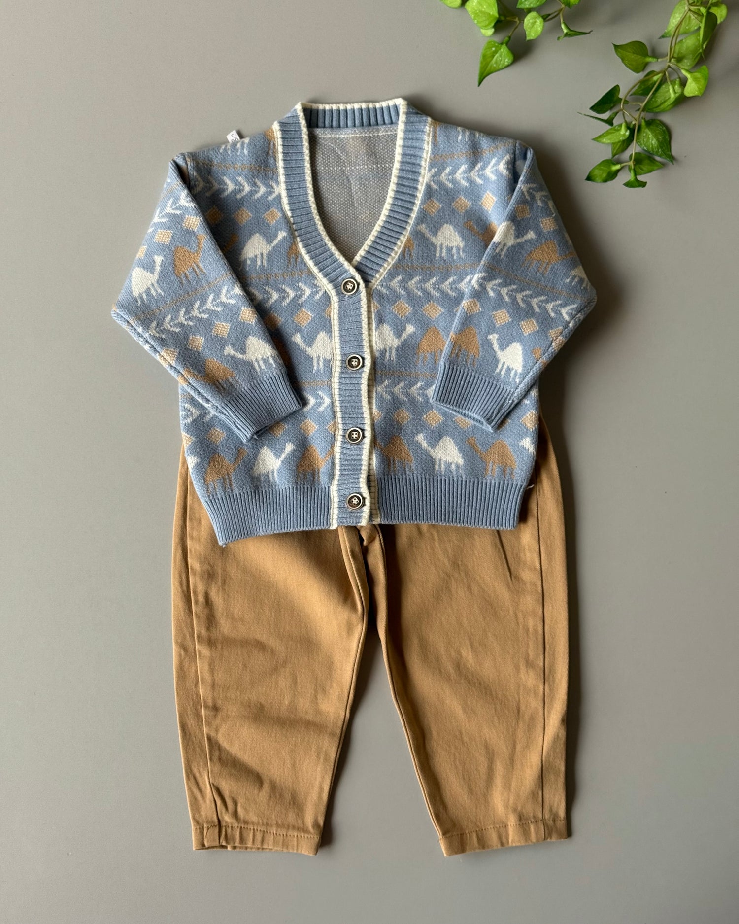 camel pattern boy set