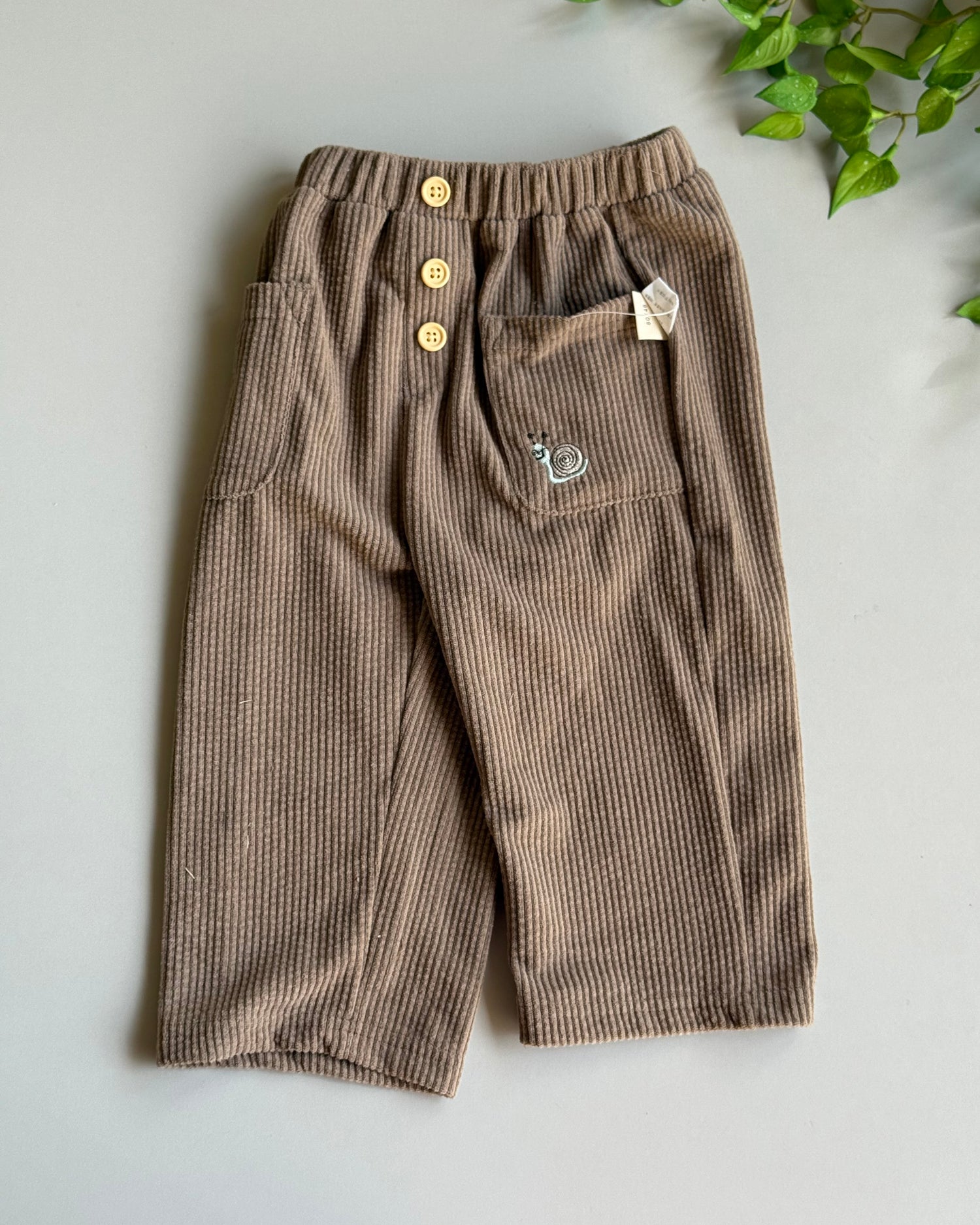 Snail brown corduroy pants