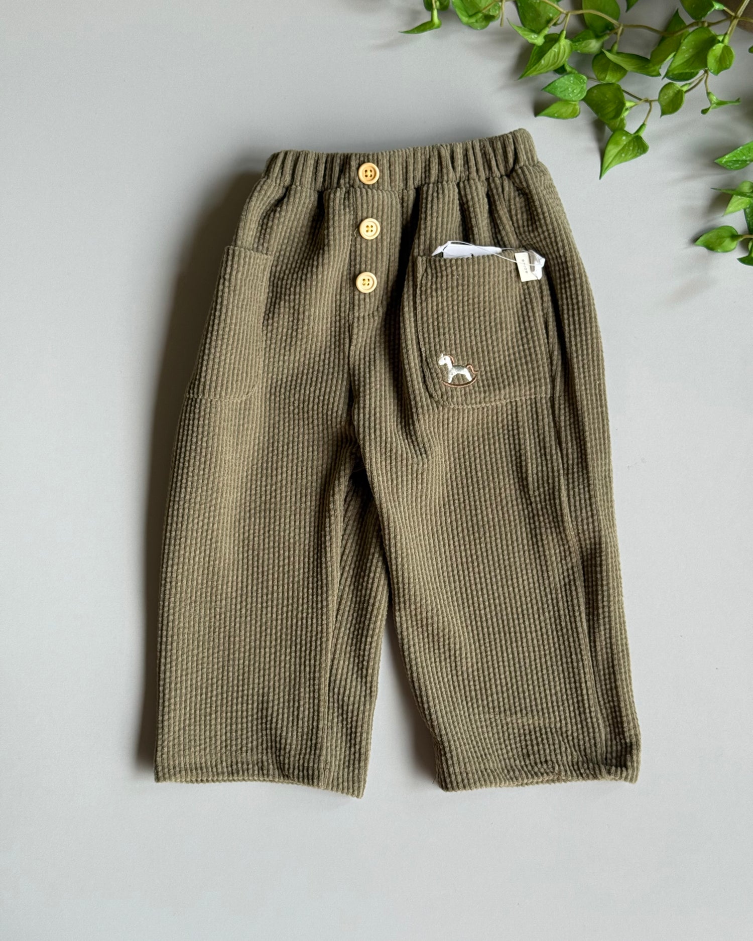 Horsey corduroy pants