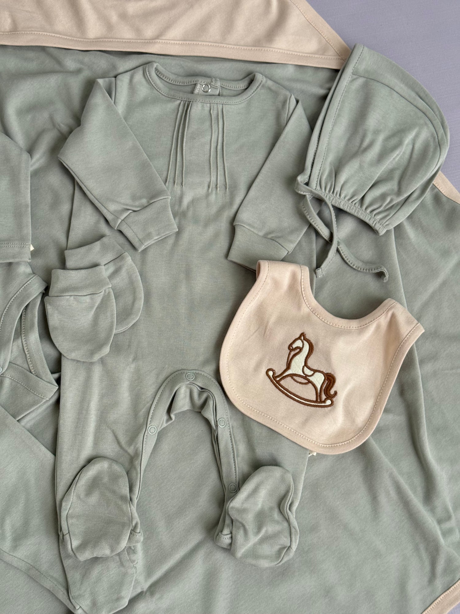 Horsie hospital set