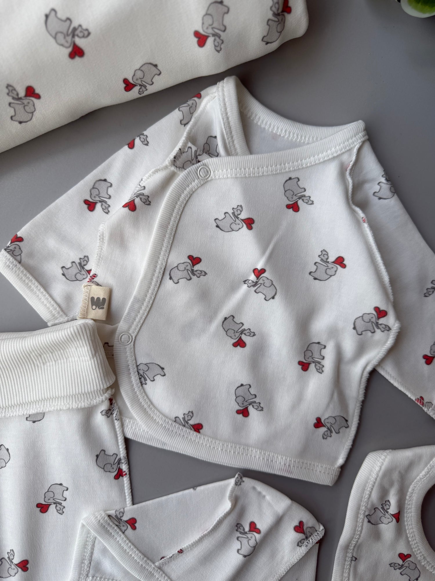 Elephant mom’s love set