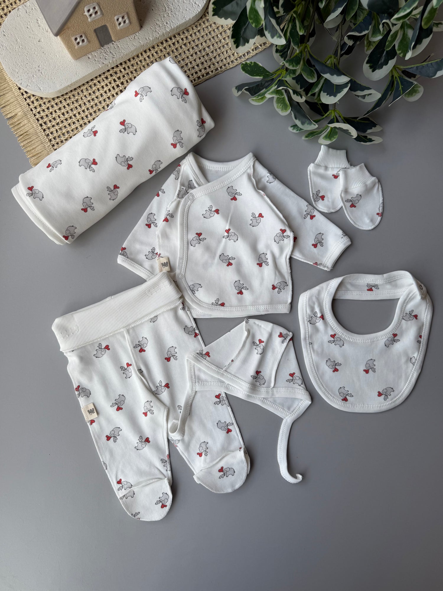Elephant mom’s love set