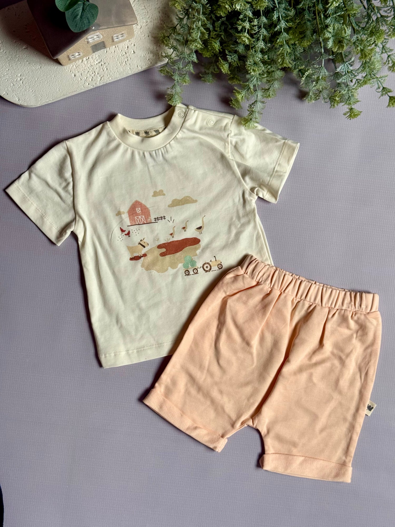 Farm set/somon