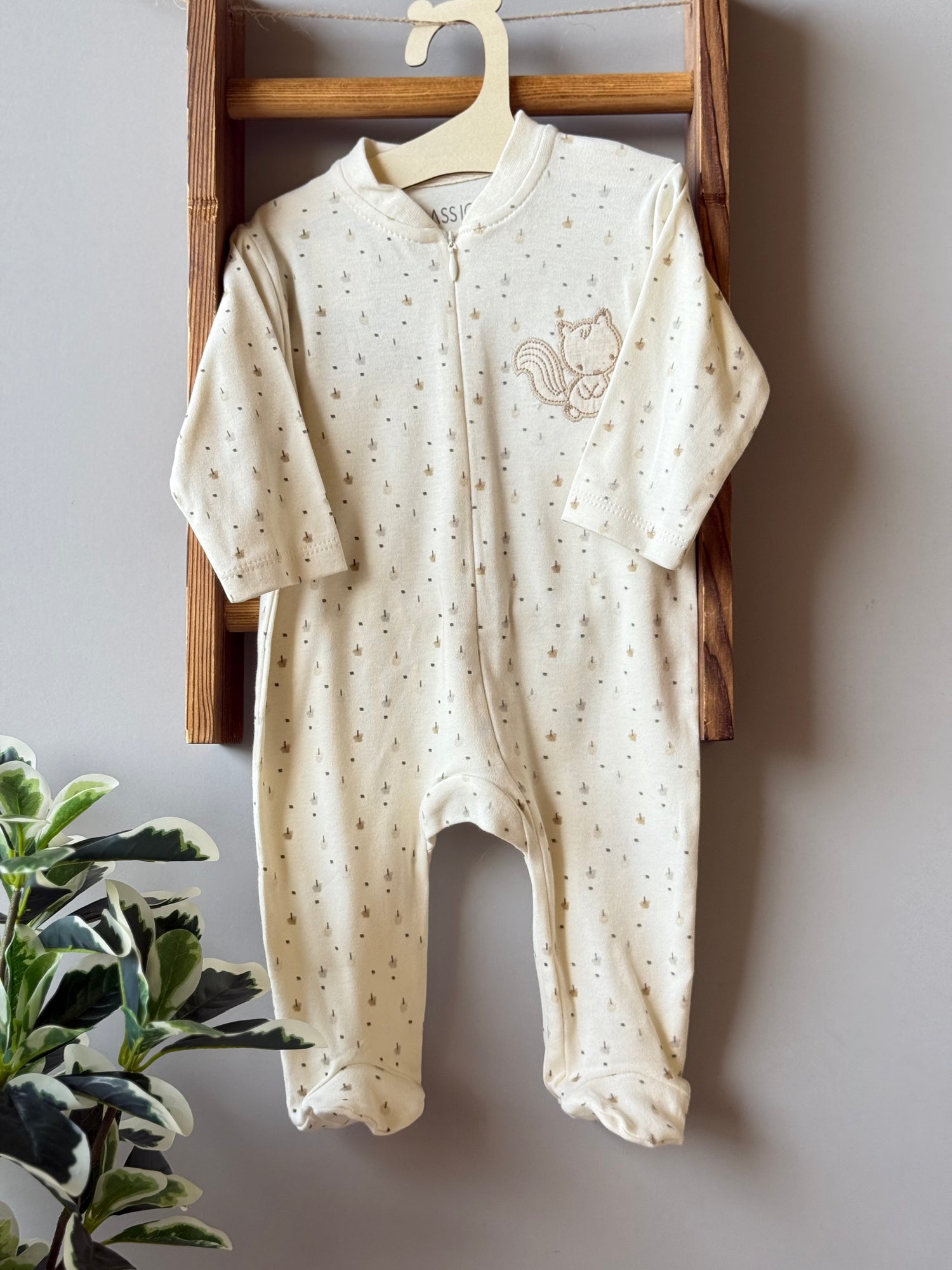 Autumn Squirrel overall