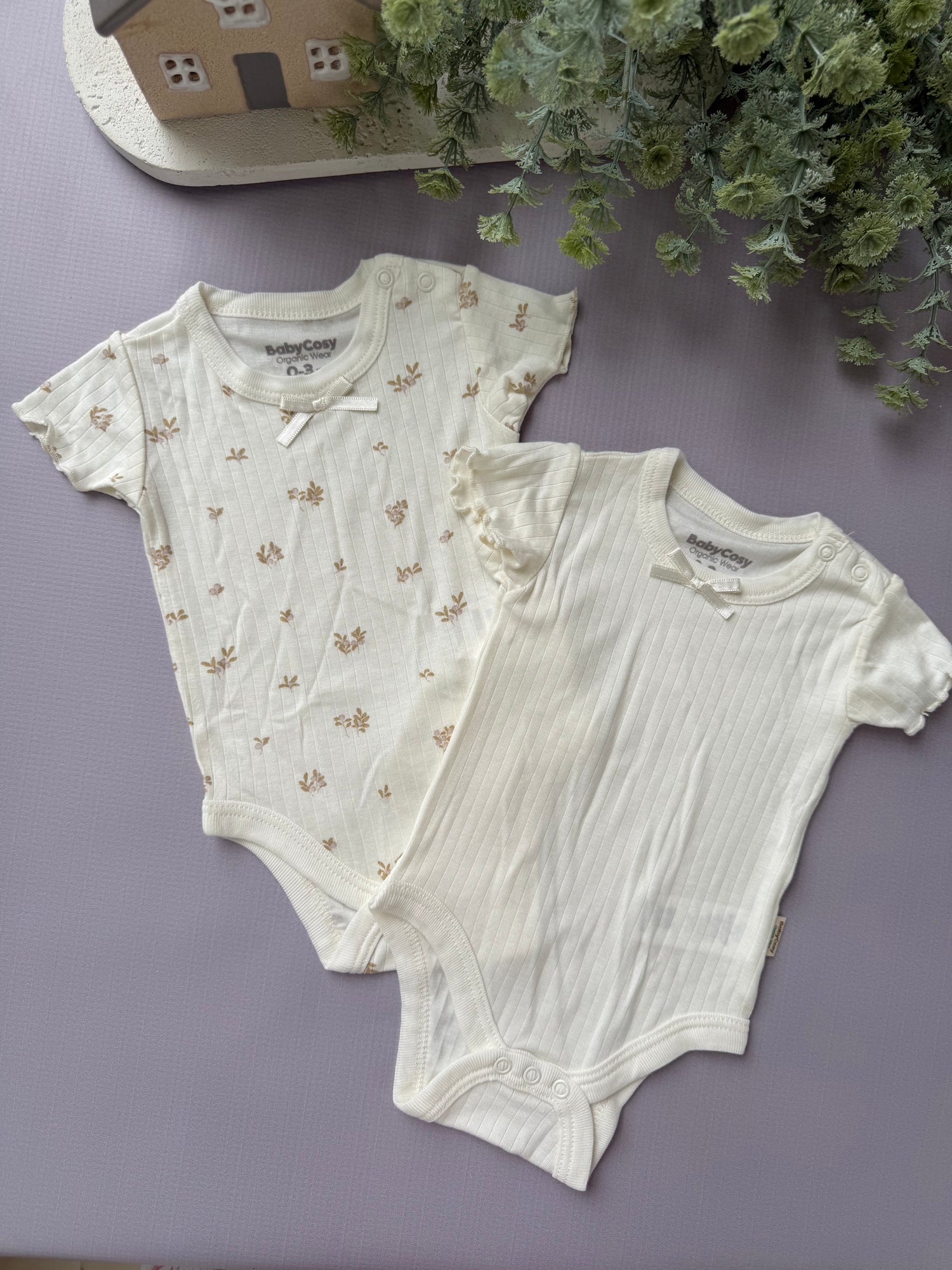 Micromodal bodies/cream