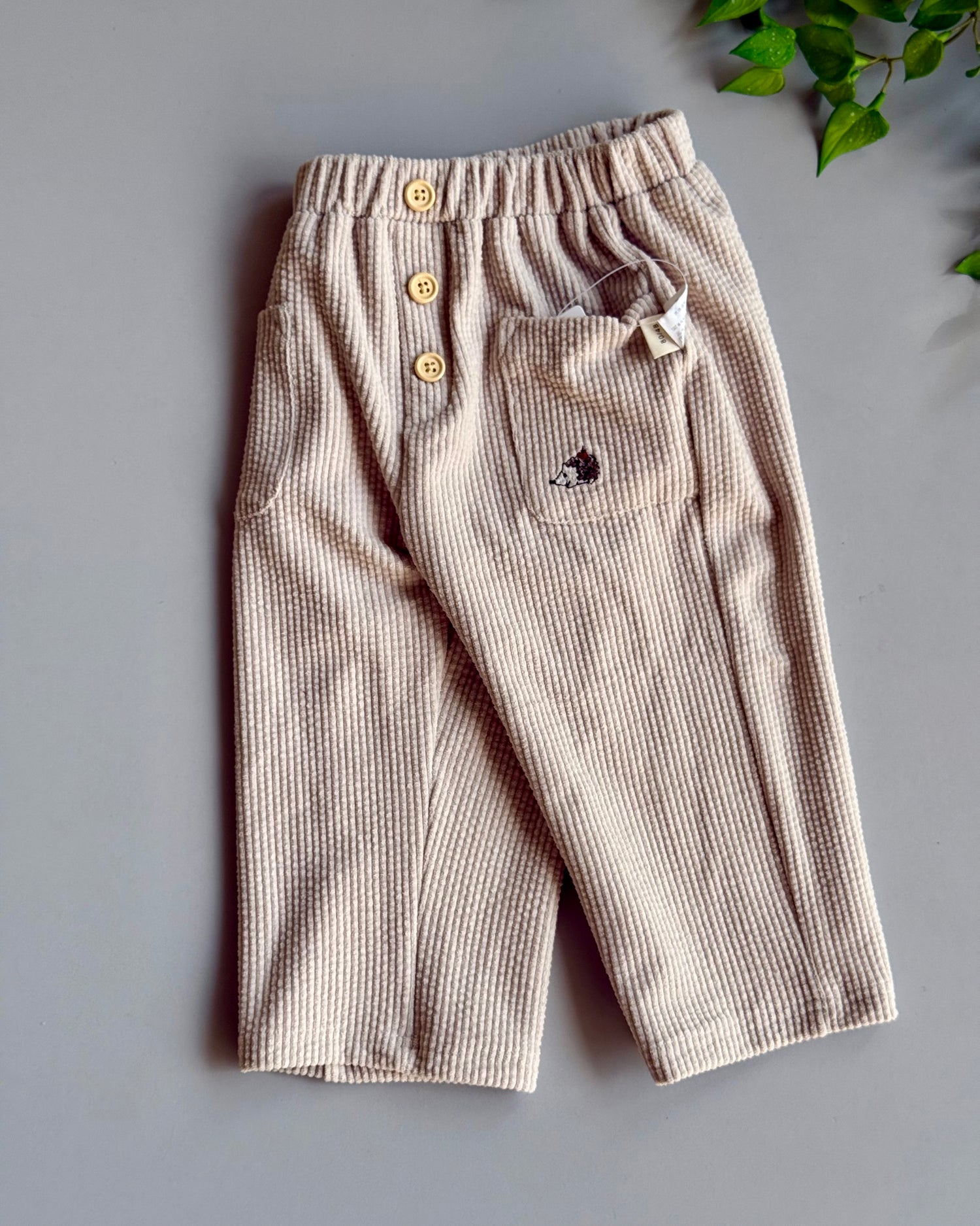 Hedgehog corduroy beige oants